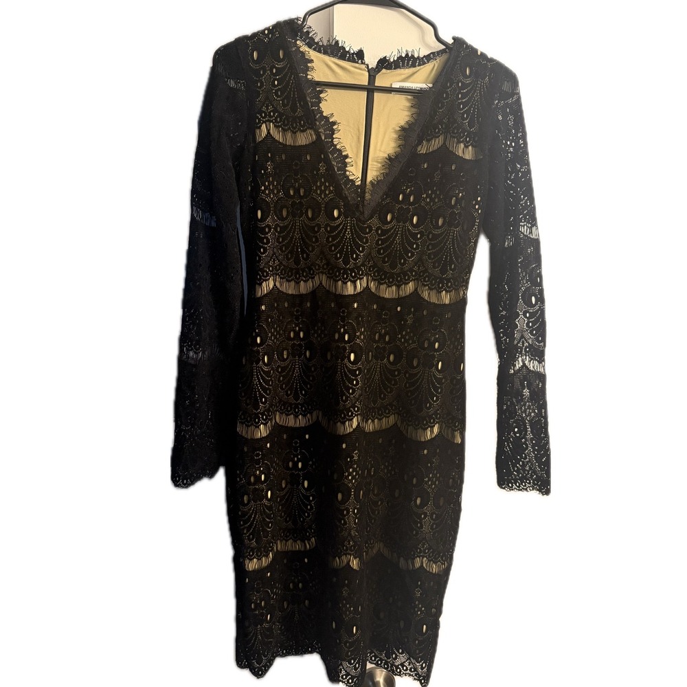 Amanda Uprichard Black Lace V-Neck Sheath Dress Long Sleeve Nude Lining Medium